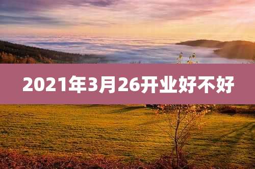 2021年3月26开业好不好