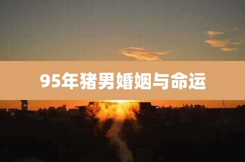 95年猪男婚姻与命运