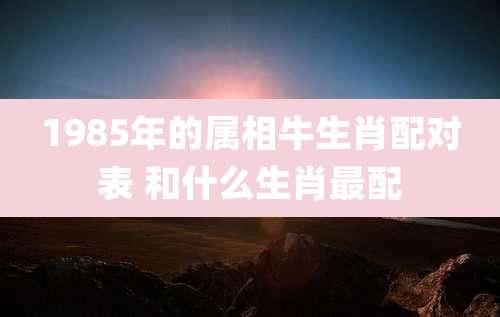 1985年的属相牛生肖配对表 和什么生肖最配