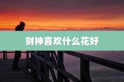 财神喜欢什么花好
