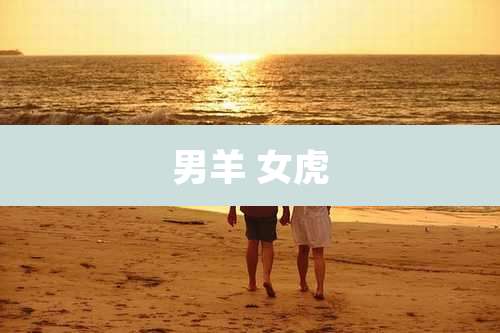 男羊 女虎