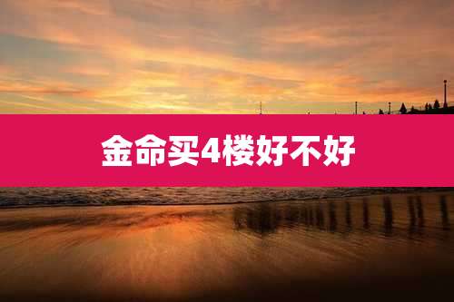 金命买4楼好不好