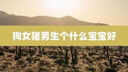 狗女猪男生个什么宝宝好