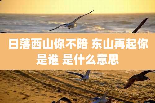 日落西山你不陪 东山再起你是谁 是什么意思