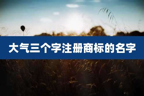 大气三个字注册商标的名字