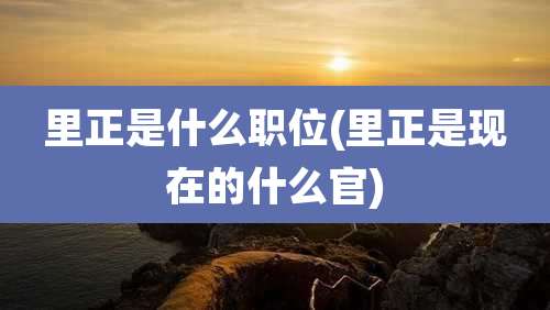 里正是什么职位(里正是现在的什么官)