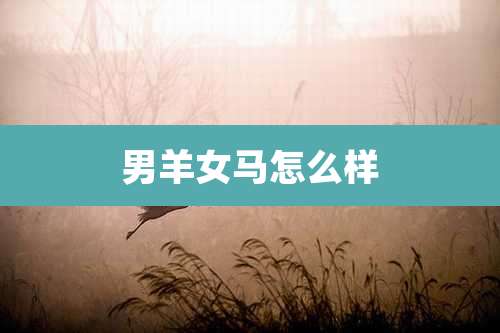 男羊女马怎么样
