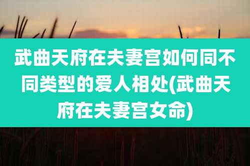 武曲天府在夫妻宫如何同不同类型的爱人相处(武曲天府在夫妻宫女命)
