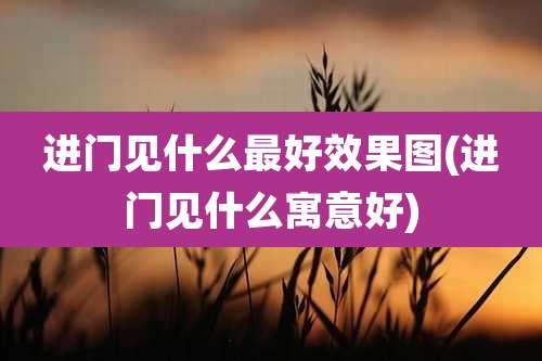 进门见什么最好效果图(进门见什么寓意好)