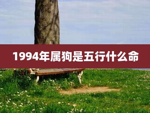 1994年属狗是五行什么命