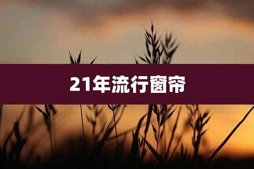 21年流行窗帘