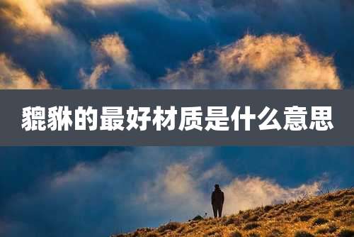 貔貅的最好材质是什么意思
