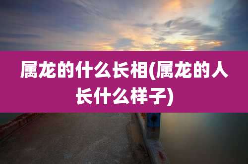 属龙的什么长相(属龙的人长什么样子)
