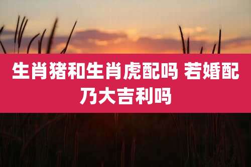 生肖猪和生肖虎配吗 若婚配乃大吉利吗