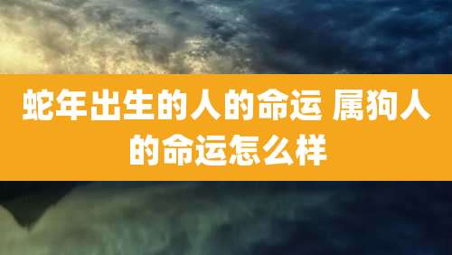 蛇年出生的人的命运 属狗人的命运怎么样