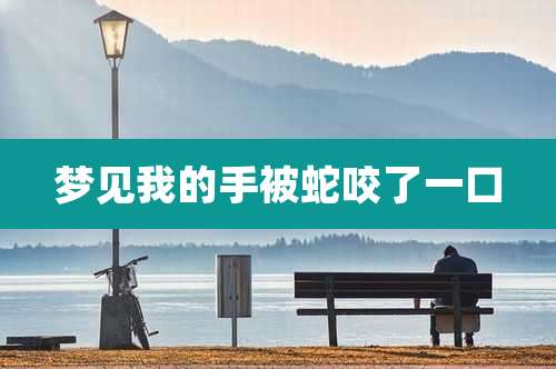 梦见我的手被蛇咬了一口