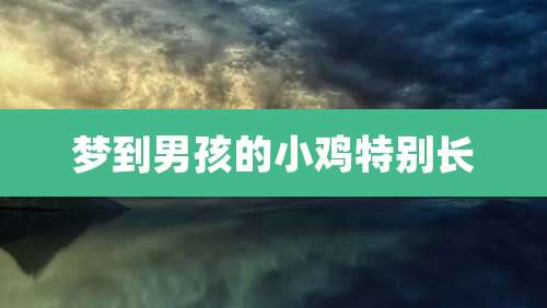梦到男孩的小鸡特别长