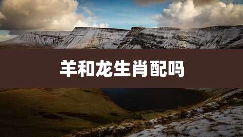 羊和龙生肖配吗