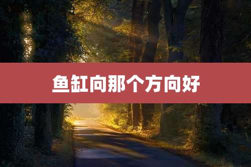 鱼缸向那个方向好