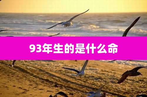 93年生的是什么命