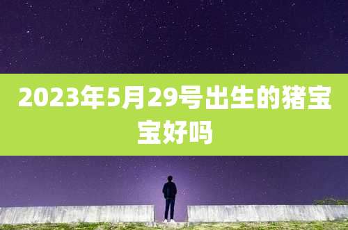 2023年5月29号出生的猪宝宝好吗