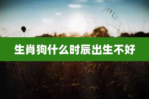 生肖狗什么时辰出生不好