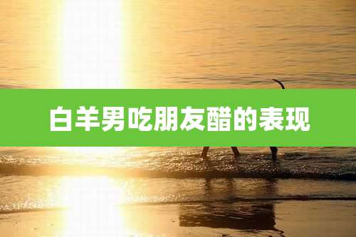 白羊男吃朋友醋的表现