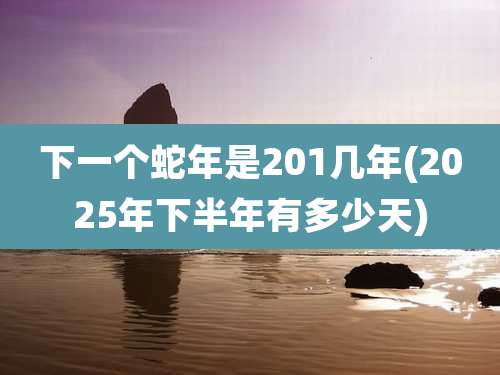 下一个蛇年是201几年(2025年下半年有多少天)