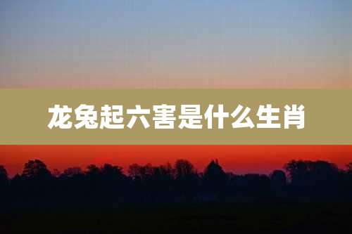 龙兔起六害是什么生肖