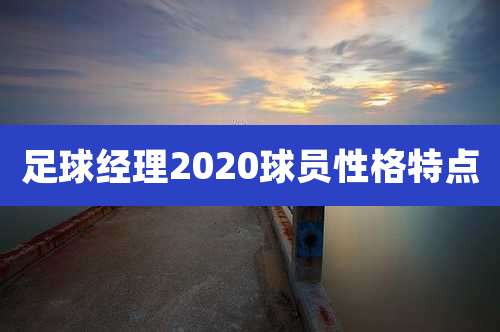 足球经理2020球员性格特点