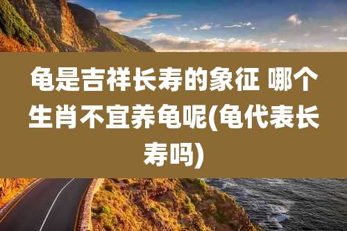 龟是吉祥长寿的象征 哪个生肖不宜养龟呢(龟代表长寿吗)