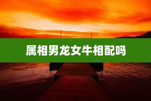 属相男龙女牛相配吗