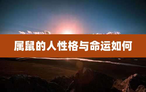 属鼠的人性格与命运如何