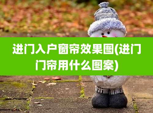 进门入户窗帘效果图(进门门帘用什么图案)