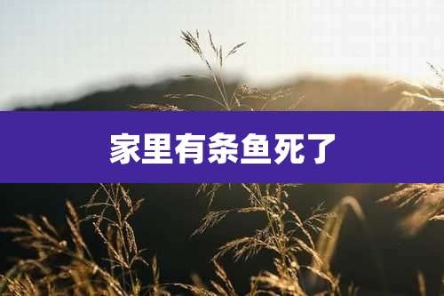 家里有条鱼死了