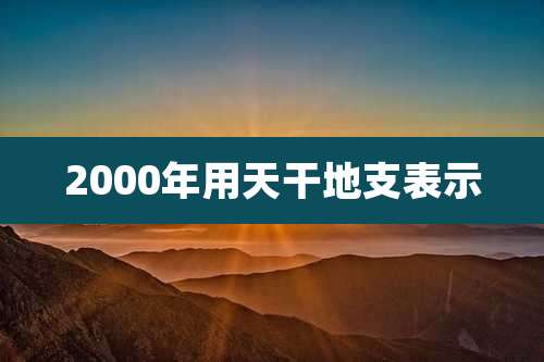 2000年用天干地支表示
