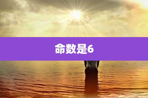 命数是6