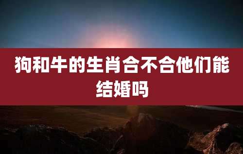 狗和牛的生肖合不合他们能结婚吗