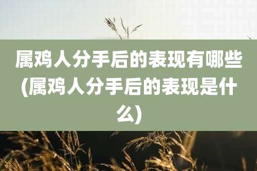 属鸡人分手后的表现有哪些(属鸡人分手后的表现是什么)
