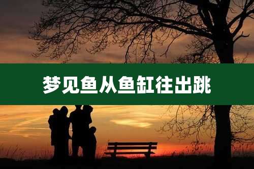 梦见鱼从鱼缸往出跳