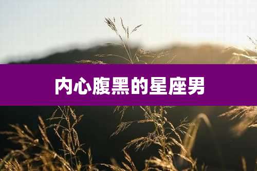 内心腹黑的星座男