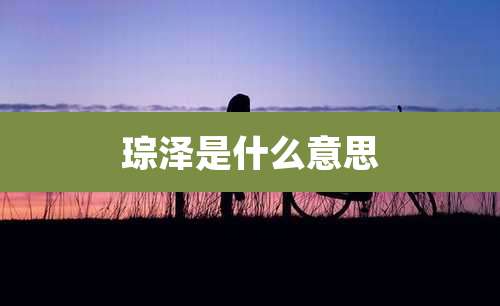 琮泽是什么意思