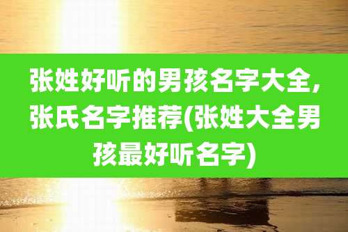 张姓好听的男孩名字大全,张氏名字推荐(张姓大全男孩最好听名字)