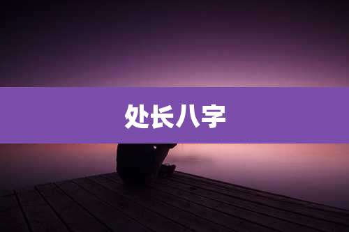 处长八字