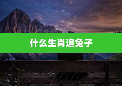 什么生肖追兔子