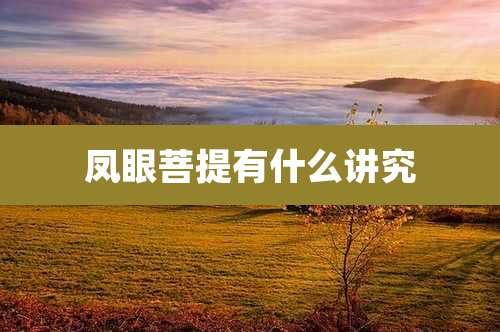 凤眼菩提有什么讲究