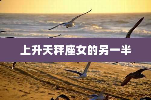 上升天秤座女的另一半