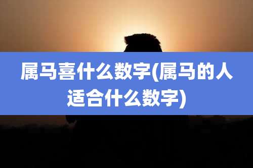 属马喜什么数字(属马的人适合什么数字)