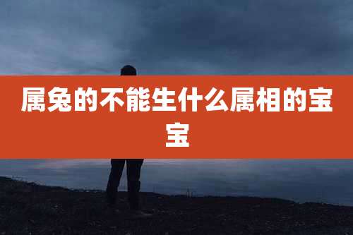 属兔的不能生什么属相的宝宝