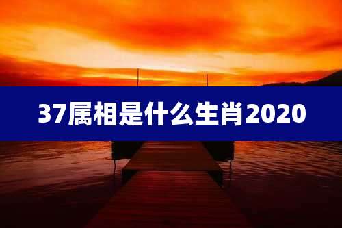 37属相是什么生肖2020